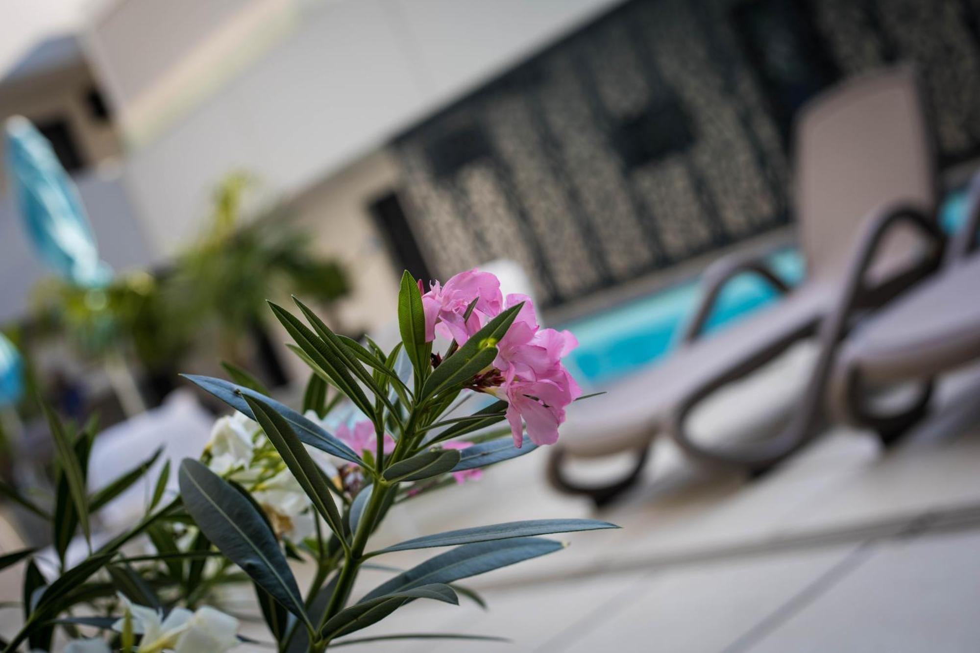 Sunset Resort - Lakeside Apartment Fonyód 외부 사진